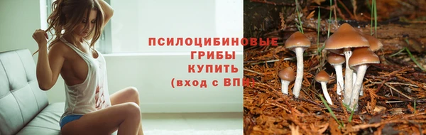 дживик Всеволожск