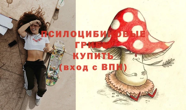 дживик Всеволожск