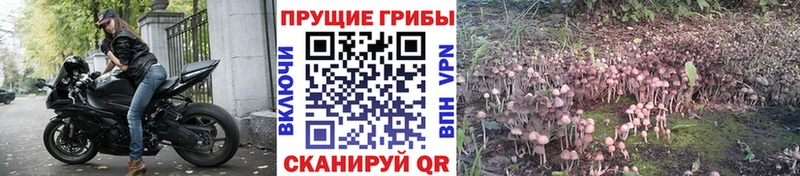 Галлюциногенные грибы прущие грибы  Анива 