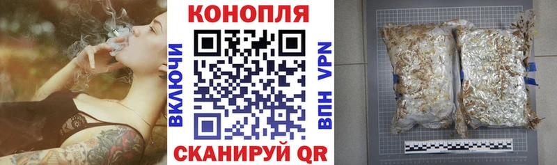 Канабис гибрид  Анива 